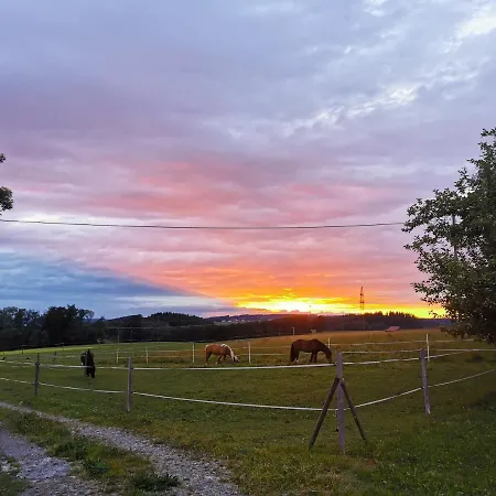 Auszeit Mit Kueche Viel Ruhe Und * Untrasried