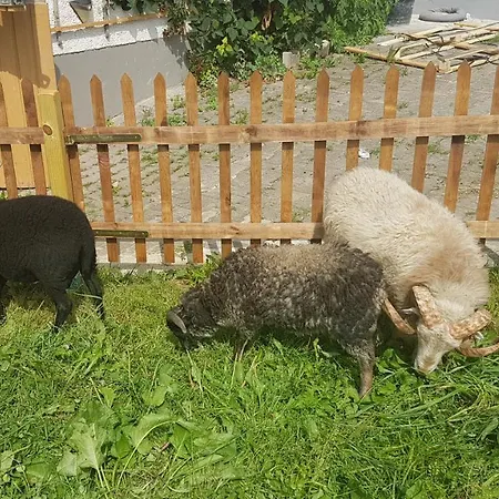 Alloggio in famiglia Auszeit Mit Kueche Viel Ruhe Und Untrasried